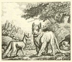 The Lioness and the Fox