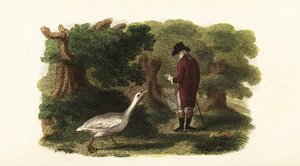 The Male Goose Jacquot and His Human Friend, a French Gentleman by English School