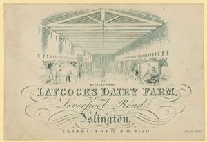 The milking shed, Laycocks Dairy Farm, Liverpool Road, Islington by English School