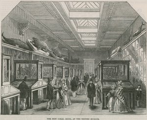 The New Coral Room at the British Museum