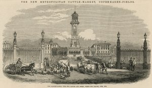The new Metropolitan Cattle Market, Copenhagen Fields