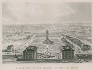 The new Metropolitan Cattle Market, Copenhagen Fields, London