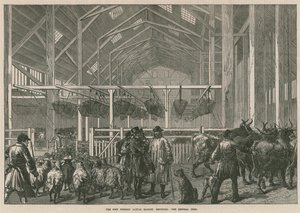 The New Foreign Cattle Market, Deptford, London - The Central Shed
