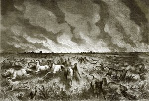 The Prairie on Fire by English School