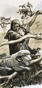 The shepherds of Bethlahem had to rescue their sheep when they became trapped