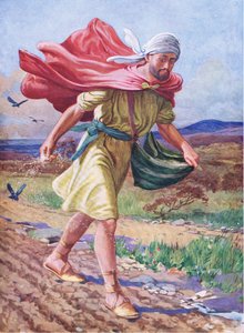 The sower, from The Bible Picture Book published by Thomas Nelson, c.1950 by English School