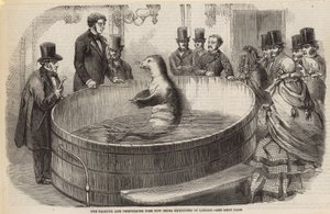 The Talking and Performing Fish Now Being Exhibited in London by English School