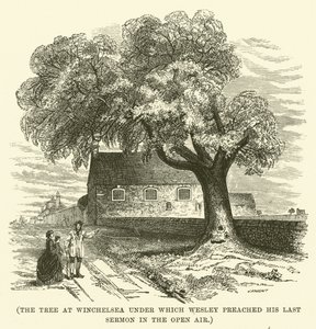The tree at Winchelsea under which Wesley preached his last sermon in the open air