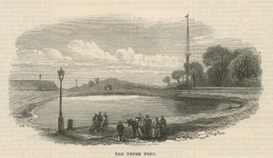 The upper pond, Hampstead Heath by English School