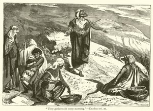 "They gathered it every morning", Exodus, xvi, 21 by English School