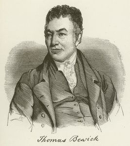 Thomas Bewick by English School