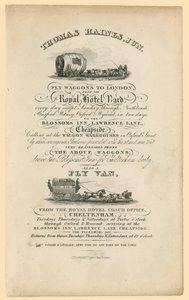Thomas Haines. Advertisement