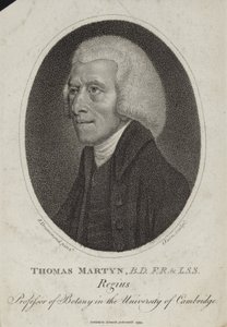 Thomas Martyn by English School