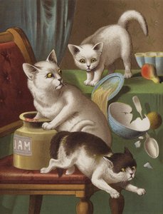 Three Kitten Thieves