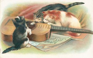 Three Cats Playing with an Acoustic Guitar by English School