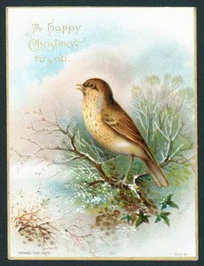 Thrush by English School