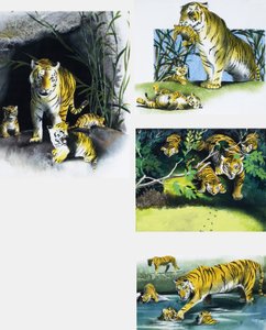 Tiger and Cubs by English School