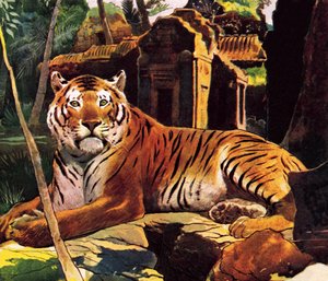 Tiger in the Ruins
