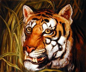 Tiger, tiger burning bright... by English School