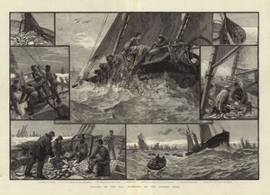 Toilers of the Sea Trawling on the Dogger Bank