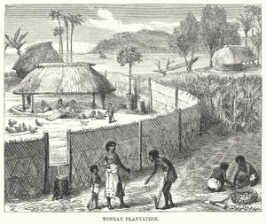 Tongan Plantation