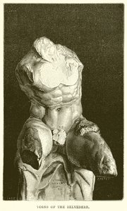 Torso of the Belvedere by English School