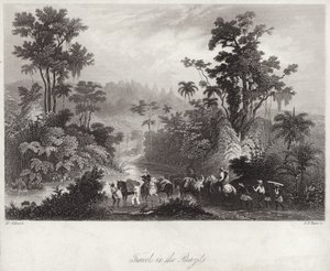 Travels in the Brazils by English School