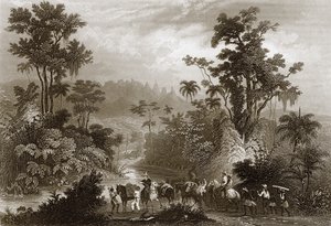 Travels in the Brazils by English School