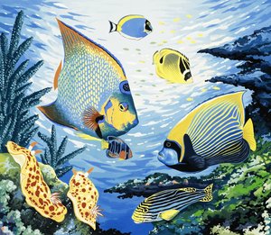 Tropical Fish by English School