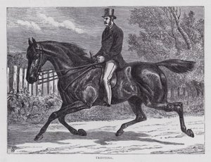 Trotting