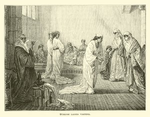 Turkish ladies visiting by English School
