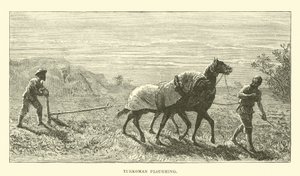 Turkoman Ploughing