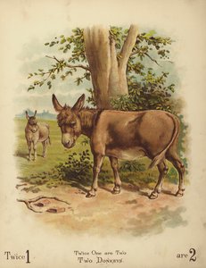 Two Donkeys