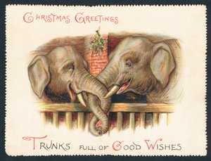Two Elephants with Trunks Entwined