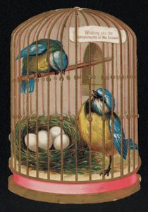 Two Blue Tits in a Cage, Christmas Greetings Card by English School