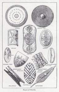 Types of shields by English School