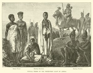 Typical Tribes of the North-West Coast of Africa by English School