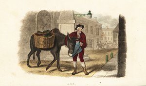 Unknown Image