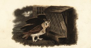 Unknown Image