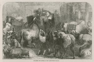 Uncarting the Cattle at the Baker Street Bazaar