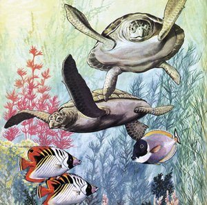 Undersea World by English School
