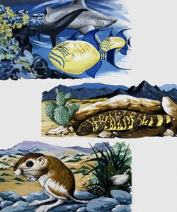 Underwater Creatures and Mouse by English School
