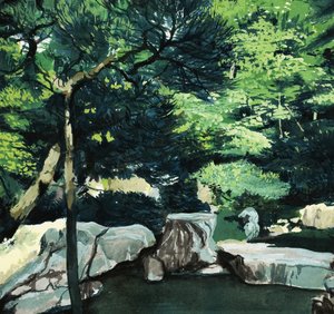 Unidentified woodland scene