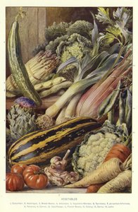 Vegetables