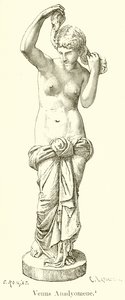 Venus Anadyomene by English School