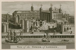 View of the Tower of London