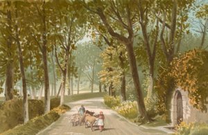 Vinchelez Lane--Jersey