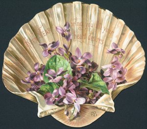 Violets in Clam Shell, New Year Card