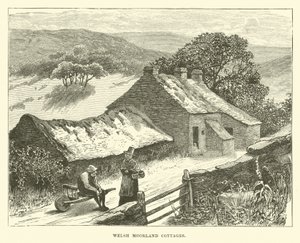 Welsh Moorland Cottages