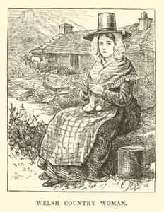 Welsh Country Woman by English School